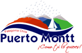 LOGO-MUNICIPALIDAD-DE-PUERTO-MONTT